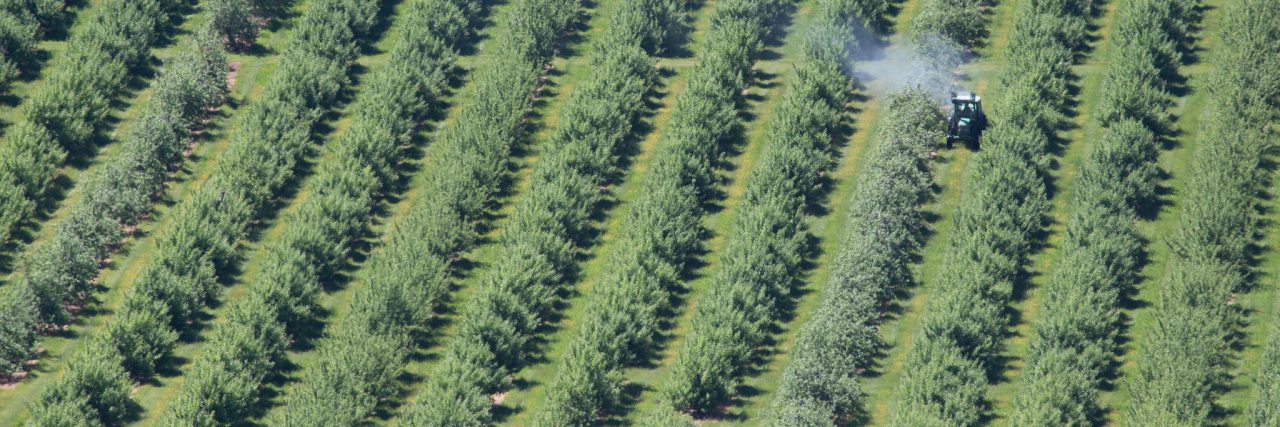 Tractor spraying crops with chemicals